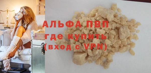 прущие грибы Вяземский