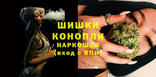 прущие грибы Вяземский
