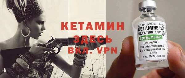 прущие грибы Вяземский