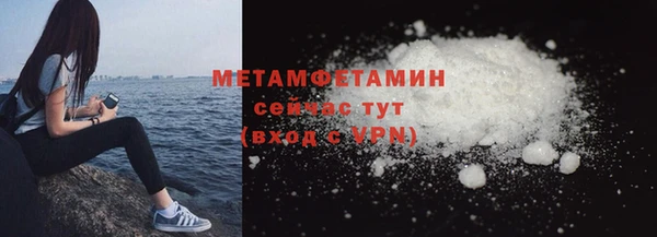 прущие грибы Вяземский