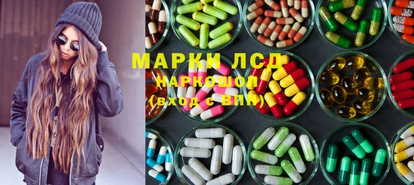прущие грибы Вяземский