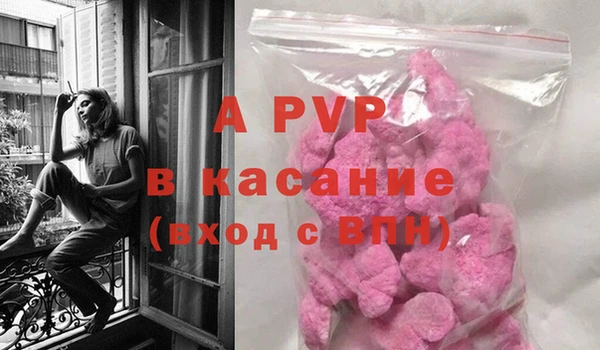 прущие грибы Вяземский