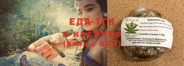 прущие грибы Вяземский