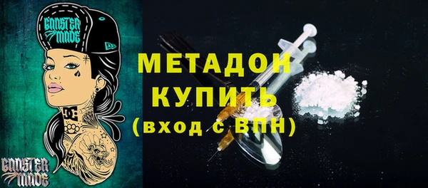 прущие грибы Вяземский