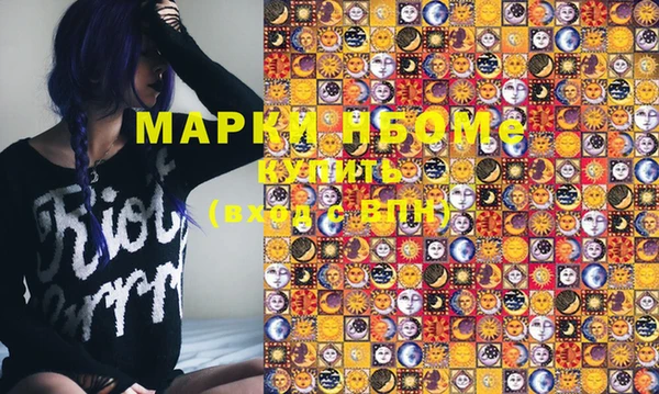 прущие грибы Вяземский